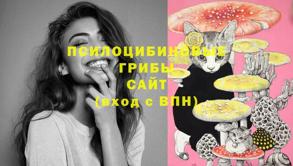 a pvp Бугульма