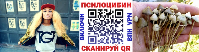 Купить где  Куса  Галлюциногенные грибы MAGIC MUSHROOMS 