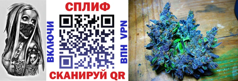 Купить  Куса  Бошки Шишки MAZAR 